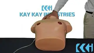Kay Kay Industries || KKI-14A Breast Inspection Model