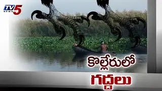 Operation Kolleru | Forest Officers Destroyed Lake : TV5 News