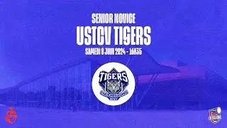 Finale CF2024 - Cheerleading - Senior Novice - USTCV Tigers