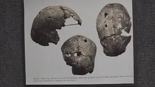 Did you know Midland once had the oldest skull found in North American history?