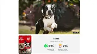 Strays Rotten Tomatoes Score: How Does The R-Rated Comedy Compare To Most Iconic Dog Movies?