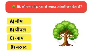 कौन-सा पेड़ सबसे ज़्यादा ऑक्सीजन देता है? | Top GK Questions in Hindi | Amazing Facts 