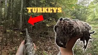 HUNTING Small Game & Turkeys in MAINE | Catch & Cook | 2024