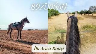 BOZDOĞAN ile ilk arazi binişi (DJI ACTION 2)