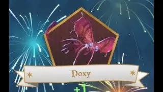 Doxy - ODDITIES