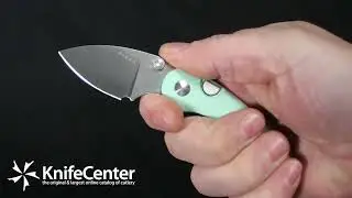 Kizer Cutlery Vanguard Microbe Button Liner Lock Folding Knife