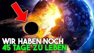 Die Schreckliche Wahrheit Wann Die Menschen Aussterben Werden!