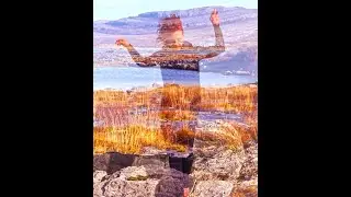 Hands Down - Deirdre Murphy