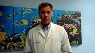 Cat Spay (708-485-6500) Brookfield, La Grange, La Grange Park, Lyons, North Riverside