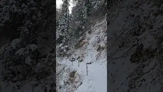 Pipeline track Nathiagali #winter #snow #nathiagali #pakistan #february #2025