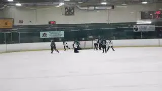 U14AA Barrie @ Lynx January 18