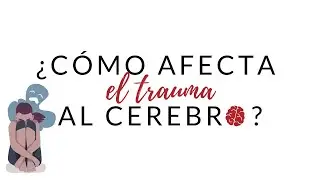 Cómo afecta el TRAUMA al cerebro
