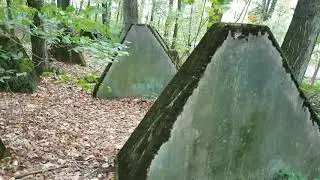 WESTWALL PANZERSPERREN - H&ouml;ckerlinien - WW2 - Ein Waldspaziergang ...