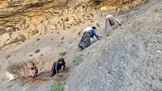 Crossing Dangerous Mountains | The Courage and Hard Work of Muhammad and Shawkat