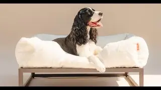 The FUZI Dog Bed - Elevated Dog Bed with Metal Bed Frame, Luxury Dog Beds with Removable Cover