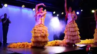 Flamenco Show Costa del Sol. Flamenco Show Malaga. Flamenco Show Andalucia