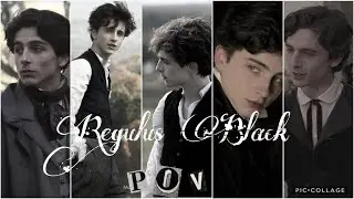 Regulus Black POVs that give me butterflies 🦋