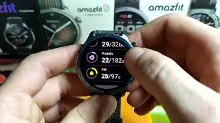 Food Log (Amazfit)