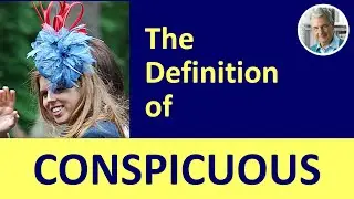 The Definition of CONSPICUOUS (3 Illustrated Examples)