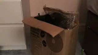 Unboxing a Schallen 12” desk fan in black model SB7016BLK 