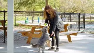 Johns Island County Park | Charleston County Parks