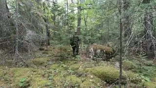 CADPAT TW Camouflage effectiveness in Fall Season ~ Canadian Forces Camo Pattern 13