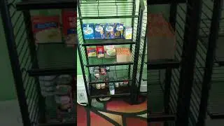 Beginner food prepper pantry #prepperpantry #foodstorage #stockpile #foodpantry #shtf
