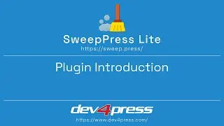 SweepPress Lite: Website Cleanup and Optimization