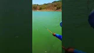 Mancing Ikan paling gampang Pakai Umpan yang satu ini!!@jonespetualang  #fishing