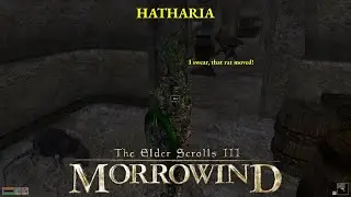 ELDER SCROLLS III: MORROWIND| Hatharia the Bosmer Episode #29: Hungry for Heaven