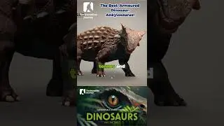 Discover the Ultimate Dinosaur Armor! 🦕🔒