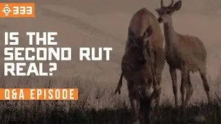 Is the Second Rut Real, and When Does It Happen? - Mountain Buck Q&A | East Meets West Hunt - Ep 333