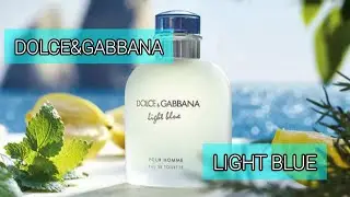 Light Blue pour Homme Dolce&Gabbana | Дольче Габбана Лайт Блю тестеры класса ЛЮКС