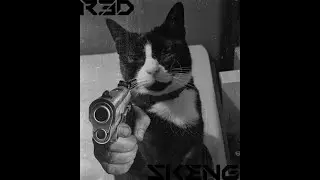 SKENG.MP3 - R3D