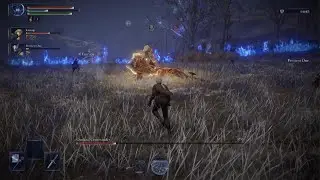 Duchess (lv11) - Fulghor - Deep 2