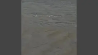 WET