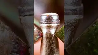 ASMR relexing video #shorts #asmr #microvideo#ytshorts