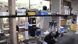 UGA Chemical Testing Could Impact Agriculture, Consumers