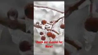 #anxiety #meditation #deephealingmusic #deepsleep #helpsleep #relax #relaxing #relaxingmusic #sleep