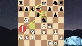 Ловушка / Шотландская партия/ От простого к сложному (часть 1)