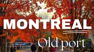 Montreal Old Port: Beautiful Autumn Views 2024