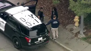 RAW: Police detain person of interest after Davis stabbings