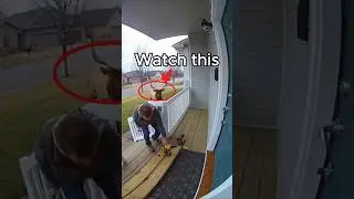 Caught on Home Security Camera Elk Charges Man on Front Porch