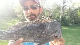 Yankees Are Better Fisherman! shed wars fishing rodeo teaser. BRING IT!
