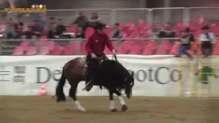 RUDI KRONSTEINER - AB PEPPY DIAMOND