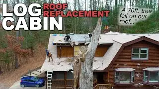 A MASSIVE Tree Fell on This Log Cabin - Roof Replacement