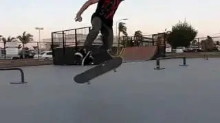 Switch 360 Flip [Super Slow-Motion]