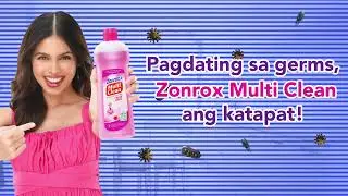 Pagdating sa all-around pangliniZ ng bahay, use Zonrox Multi Clean!