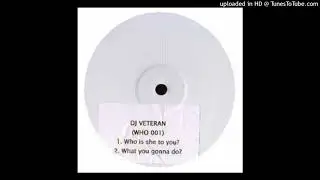 DJ Veteran - What You Gonna Do?