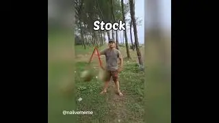 Bitcoin vs Gold and Stock | short shorts